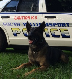 K9 Dany2